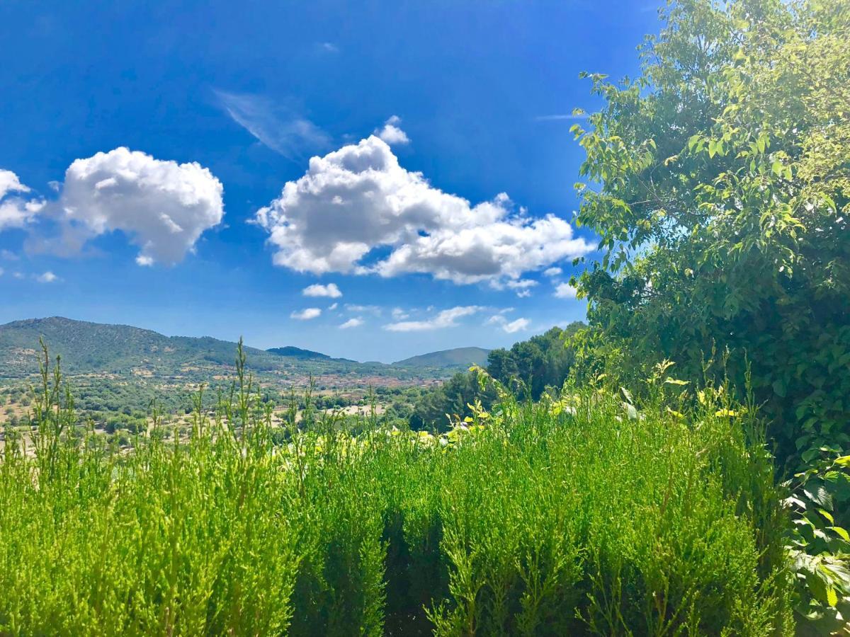 Serra Llevant * Son Macia (Mallorca)