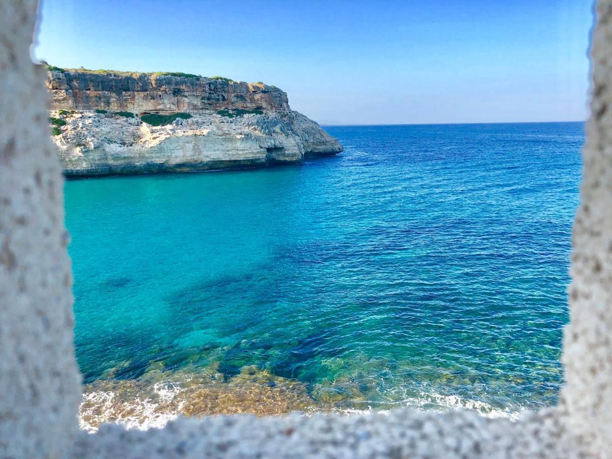 Serra Llevant * Son Macia (Mallorca)