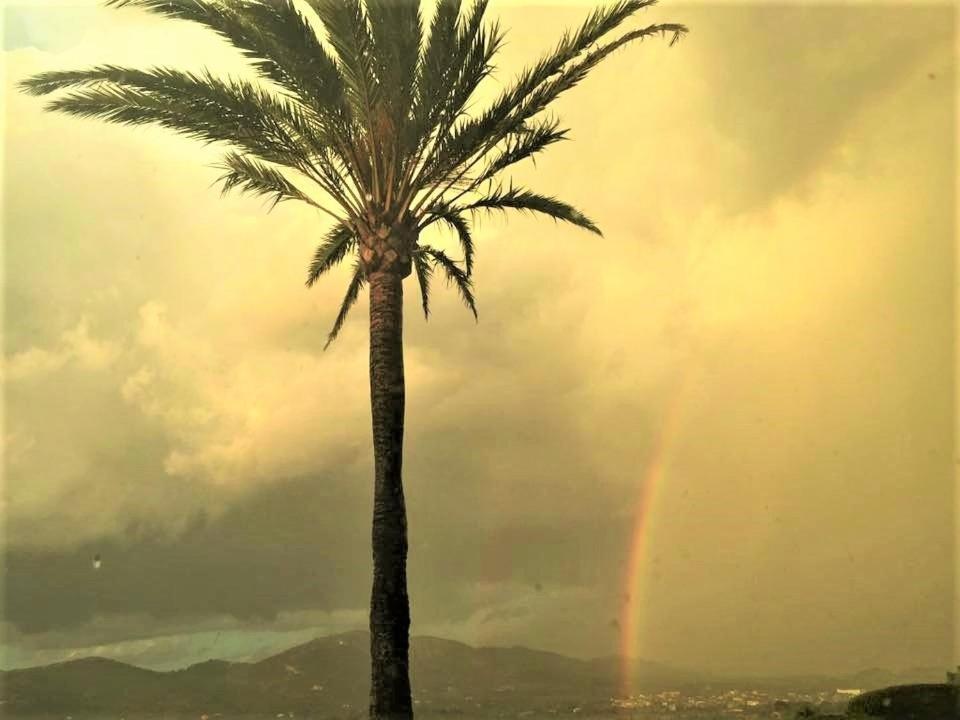 Serra Llevant Lodge Son Macia (Mallorca)