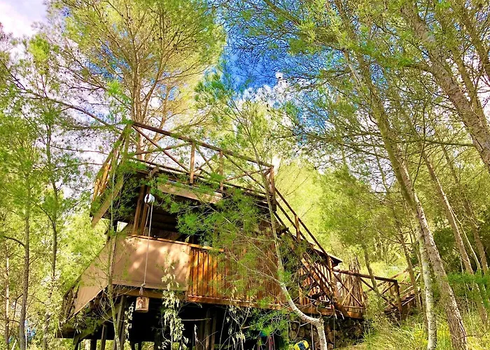 Lodge Serra Llevant