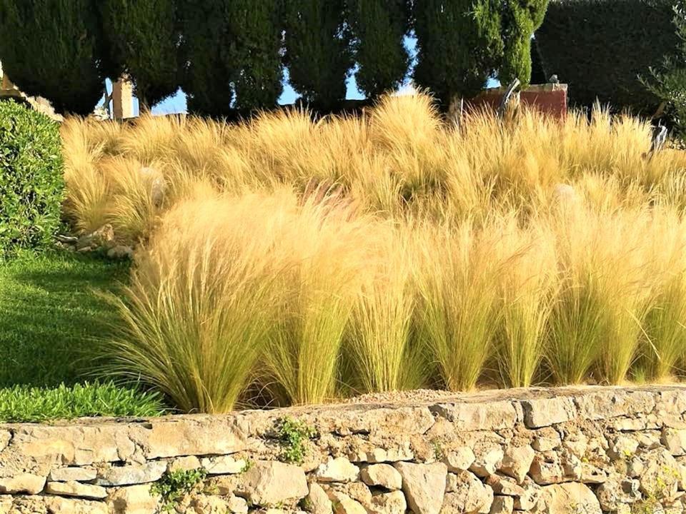 Serra Llevant Hytte