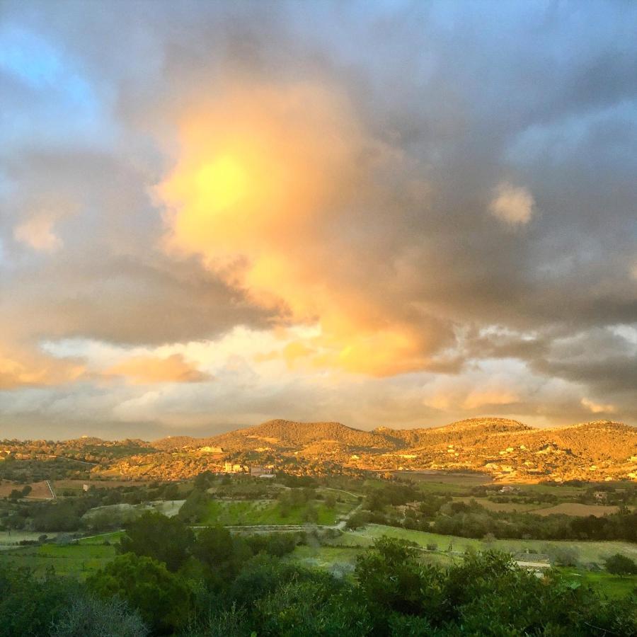 Hytte Serra Llevant Son Macia (Mallorca)