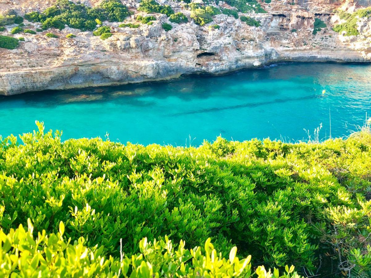 Serra Llevant * Son Macia (Mallorca)