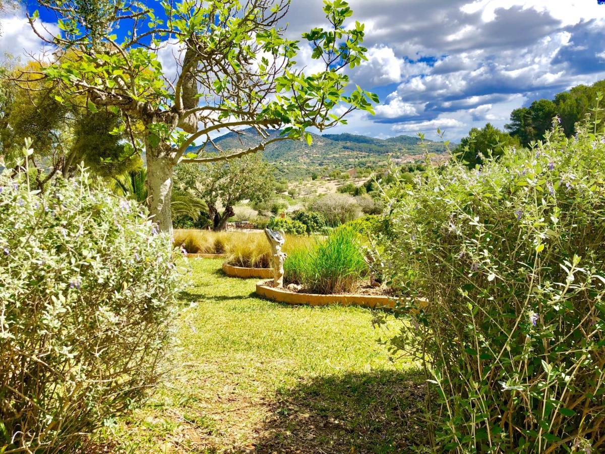 Serra Llevant Son Macia (Mallorca)